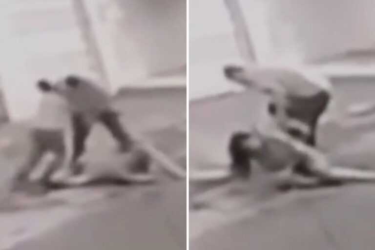 video.-marido-atropela-mulher-e-filho-tenta-impedir-mais-agressoes