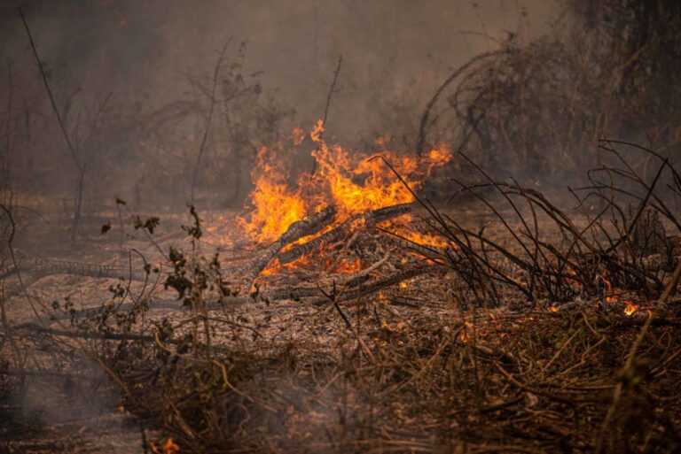 pantanal-volta-a-sofrer-com-incendios-apos-duas-semanas-de-alivio