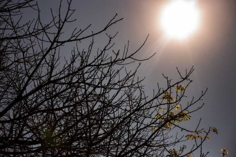 mais-quente:-agosto-marca-virada-do-clima-no-brasil.-entenda