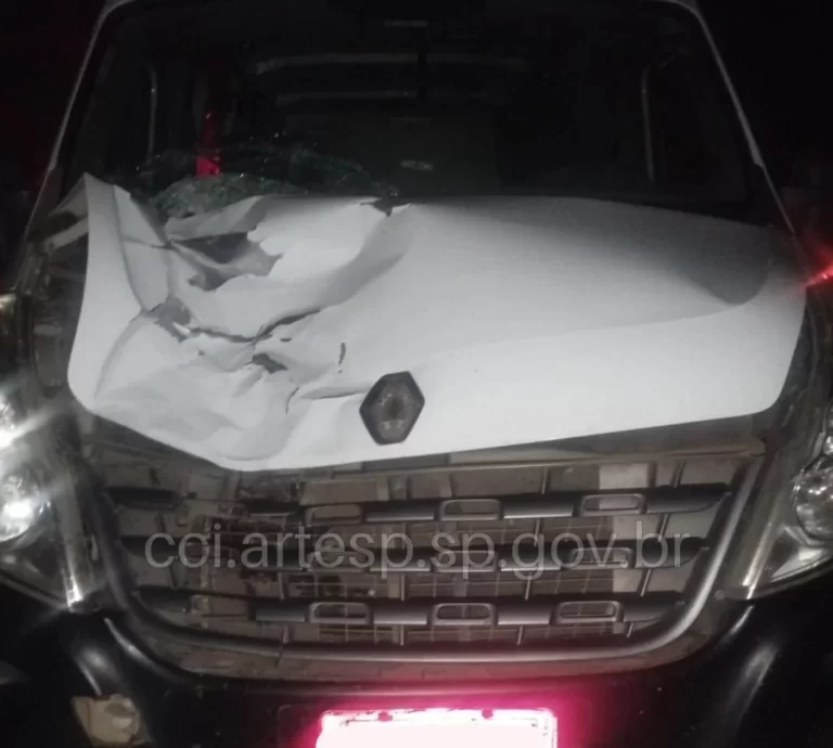 homem-morre-atropelado-na-rodovia-anhanguera-em-santa-rita-do-passa-quatro