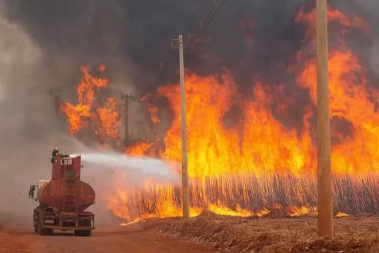 duas-mortes-em-incendios-no-interior-de-sp-sao-confirmadas-pela-defesa-civil