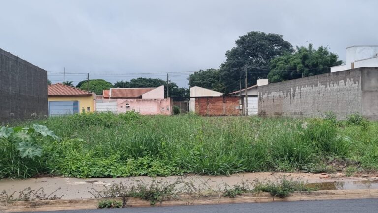 secao-de-posturas-de-porto-ferreira-reduz-prazo-para-limpeza-de-terrenos-para-15-dias