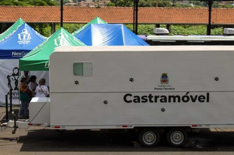 mutirao-de-castracao-beneficia-436-animais-e-reforca-apoio-a-protetores-independentes