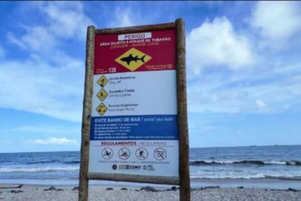 Fase da lua pode influenciar ataques de tubarão em Pernambuco. Entenda fase-da-lua-pode-influenciar-ataques-de-tubarao-em-pernambuco.-entenda